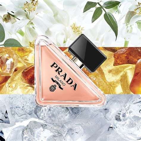 prada paradoxe note olfactive